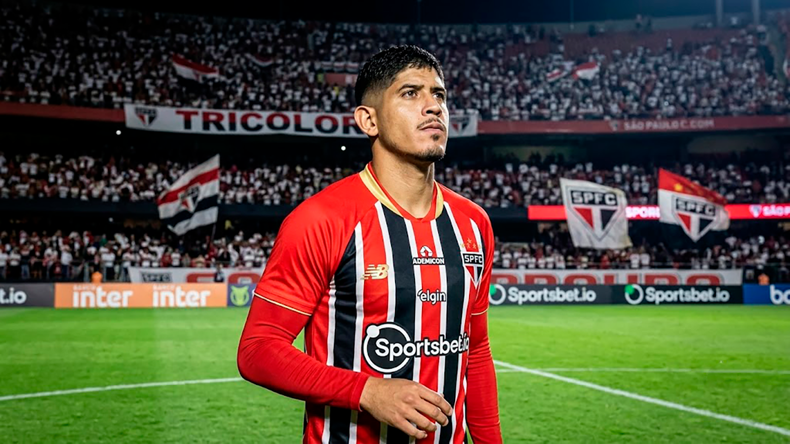PRIMER REFUERZO DE TIGRES